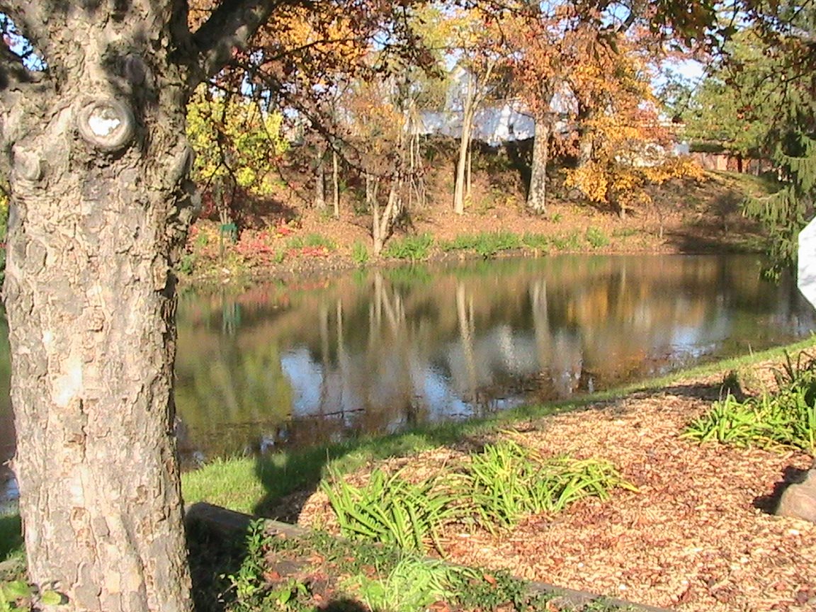 Gallery Photo 21